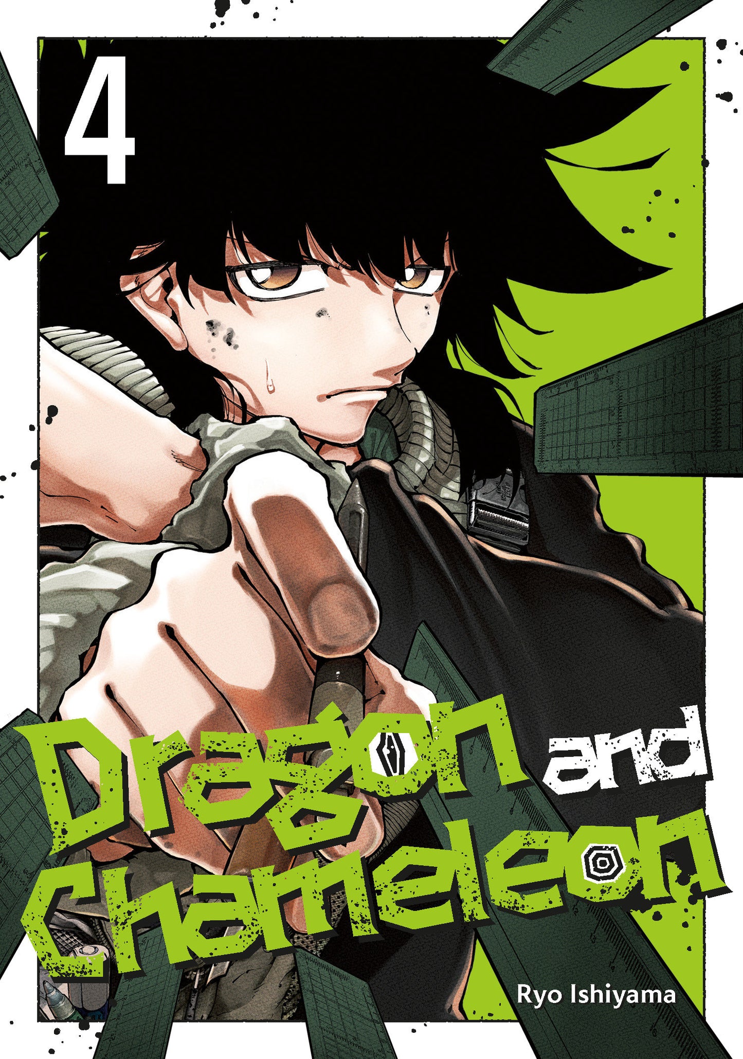 Dragon And Chameleon 04